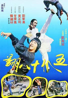 《善良岳母：我爱我的女婿》海报